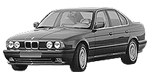 BMW E34 P0BCC Fault Code